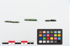 Foto von Bronzering (NHMW-PRAE-024306)